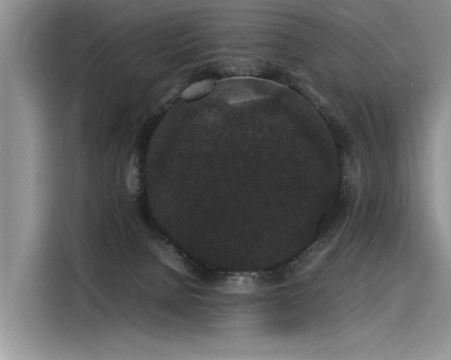 X0000116120080200911301335