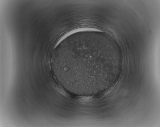 X0000116120081200911301335