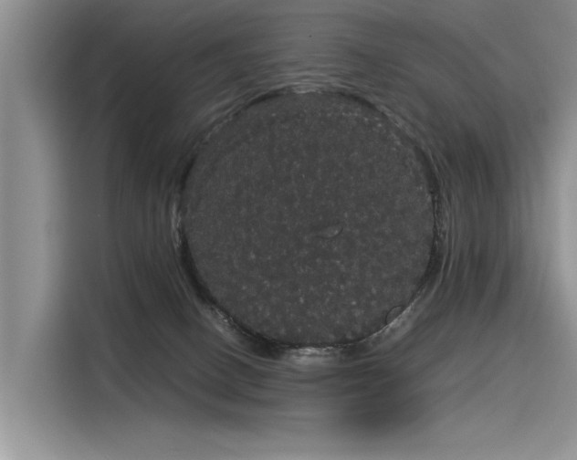 X0000116120082200911301335