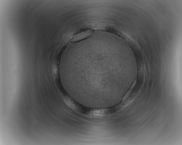 X0000116120084200911301335