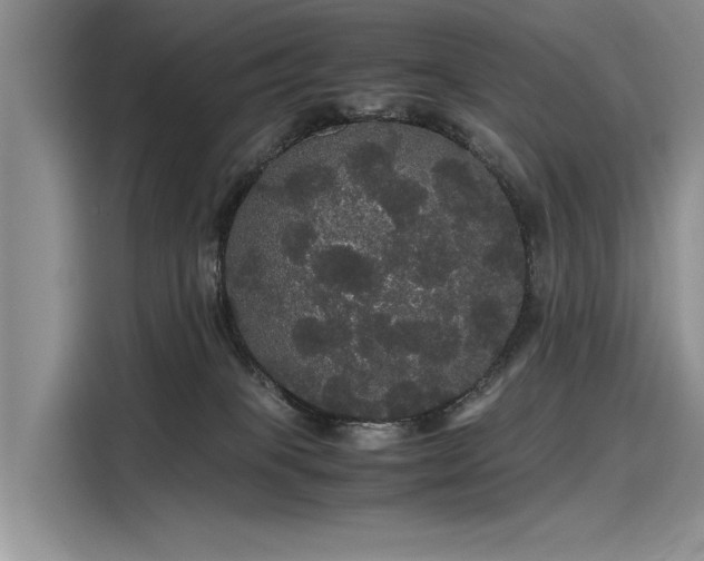 X0000116120085200911301335