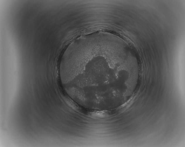 X0000116120086200911301335