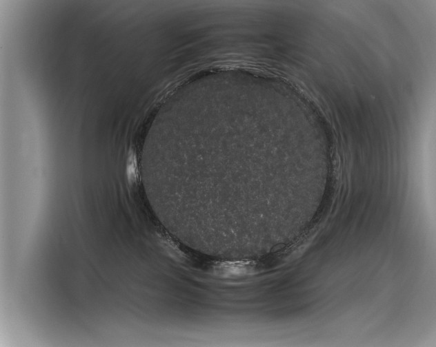 X0000116120089200911301335