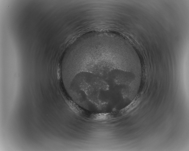 X0000116120090200911301335