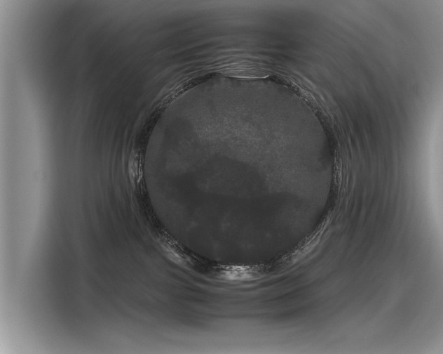 X0000116120091200911301335