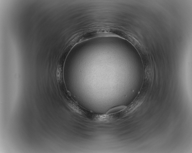 X0000116120092200911301335