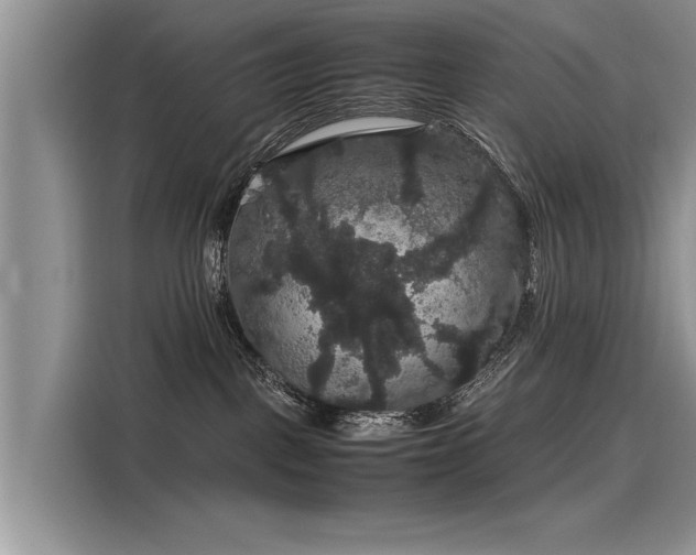 X0000116120093200911301335