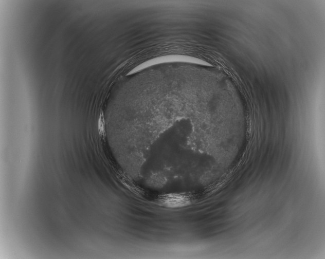 X0000116120095200911301336