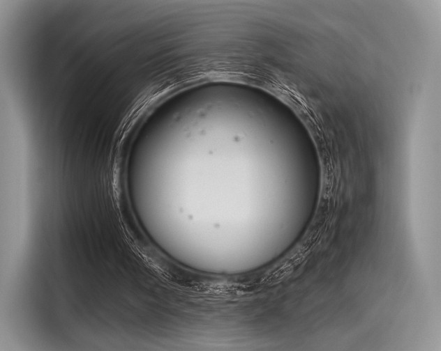 X0000116120098200911301335