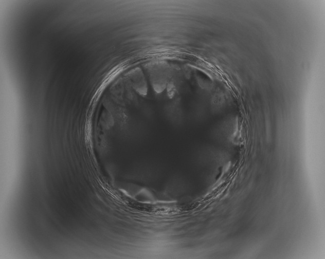 X0000116120099200911301335