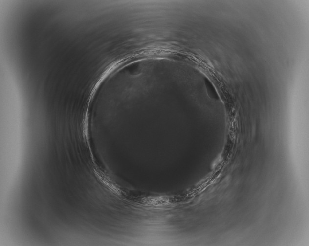 X0000116120100200911301335