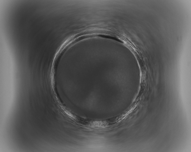 X0000116120101200911301335