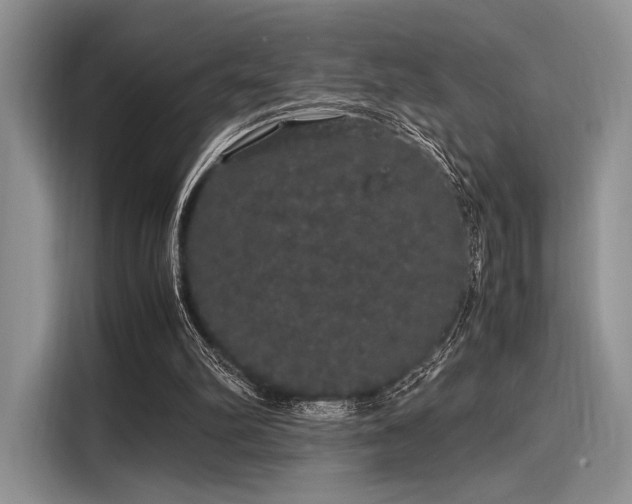 X0000116120102200911301335