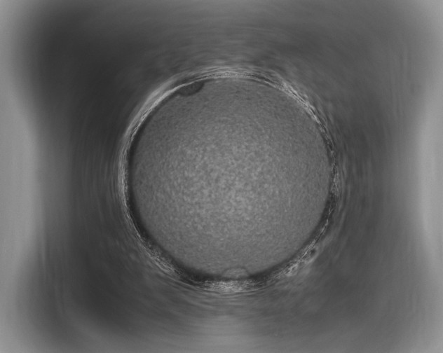 X0000116120103200911301335