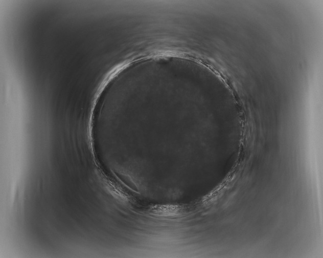 X0000116120104200911301335