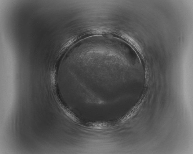 X0000116120105200911301335