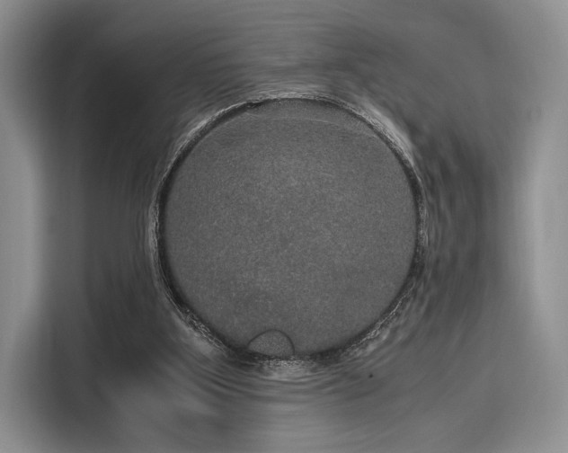 X0000116120107200911301335