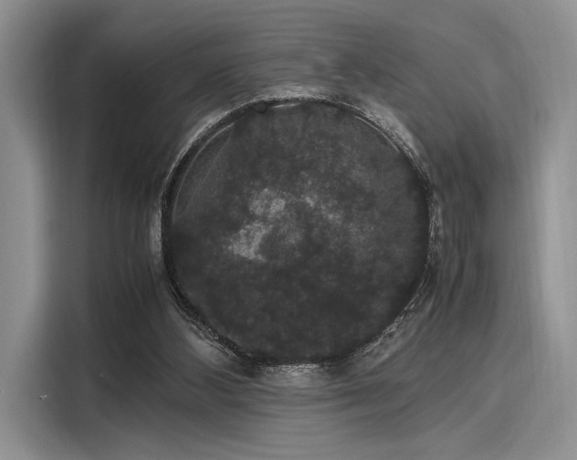 X0000116120108200911301335