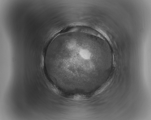 X0000116120109200911301335