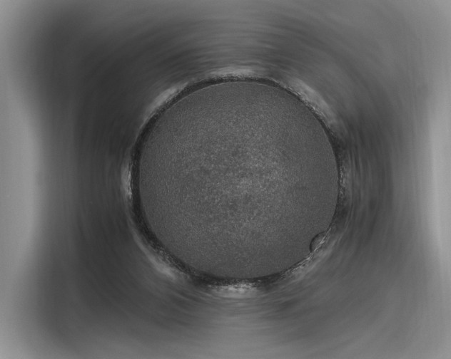 X0000116120112200911301335