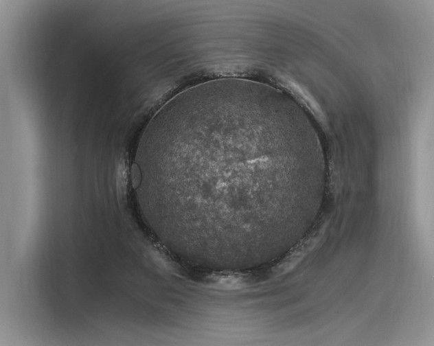 X0000116120113200911301335