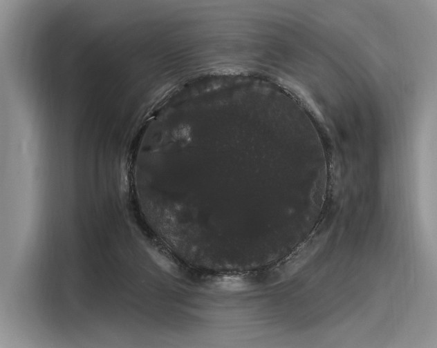 X0000116120114200911301335