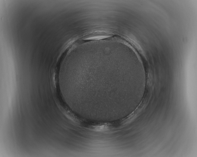 X0000116120116200911301335