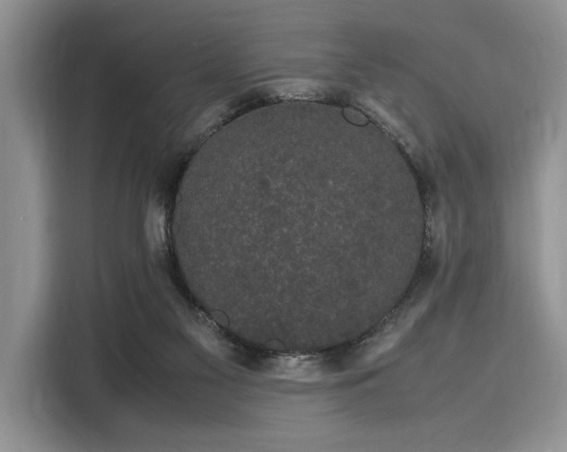 X0000116120117200911301335