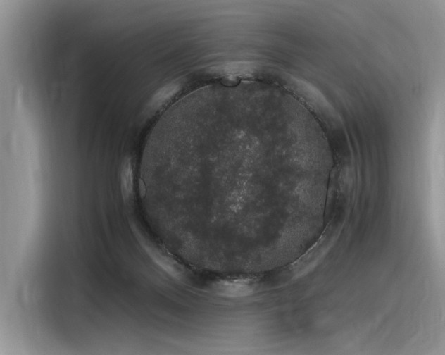 X0000116120120200911301335