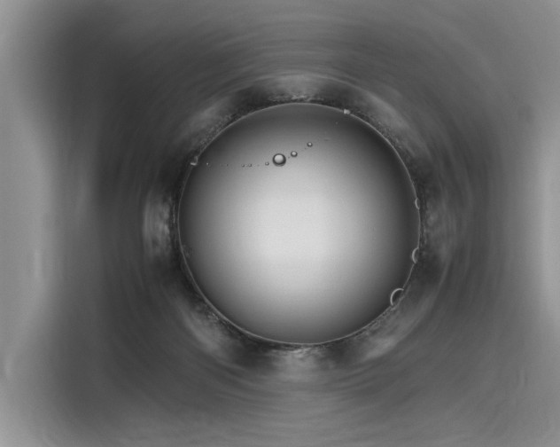 X0000116120122200911301335