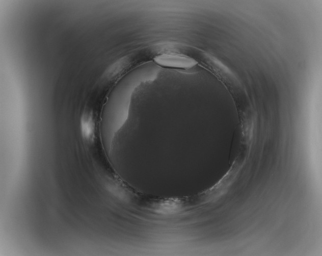 X0000116120124200911301335