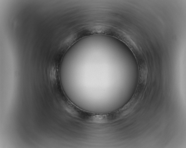 X0000116120126200911301335