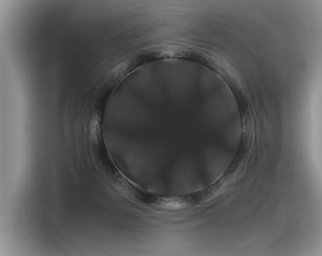 X0000116120127200911301335