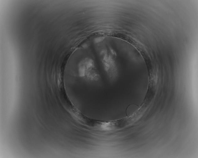 X0000116120130200911301334