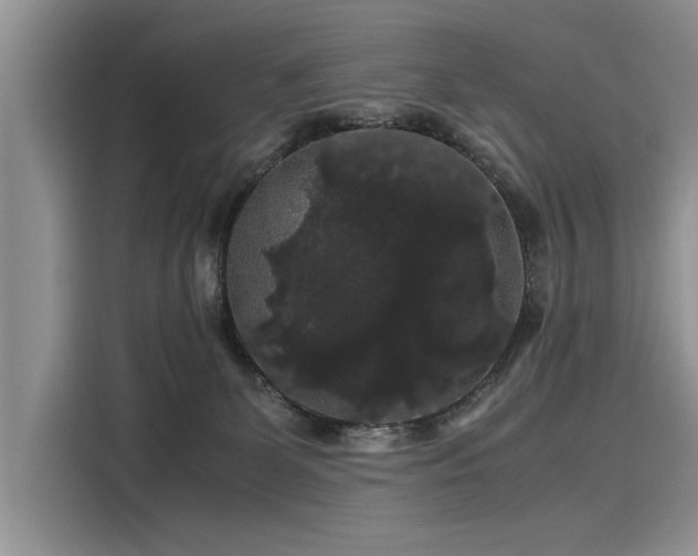 X0000116120131200911301334