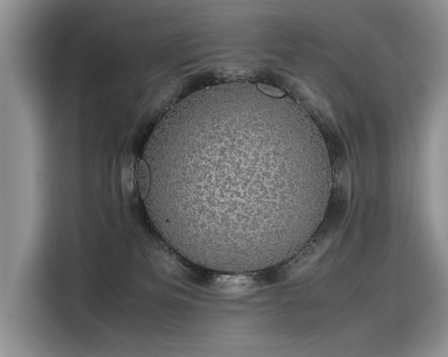 X0000116120133200911301334