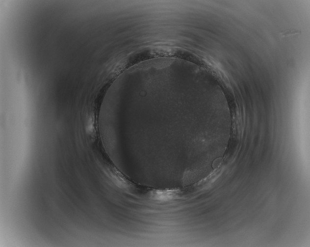 X0000116120134200911301334