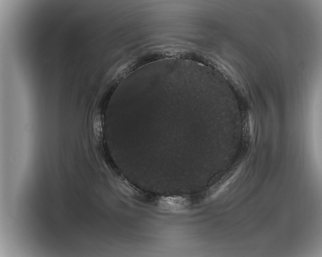 X0000116120137200911301334