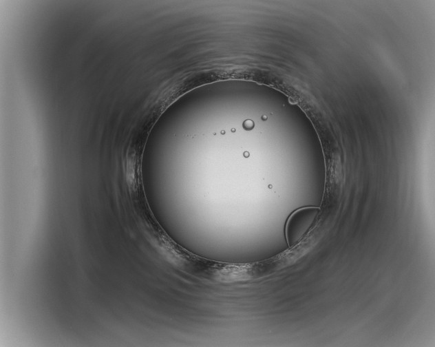 X0000116120138200911301334