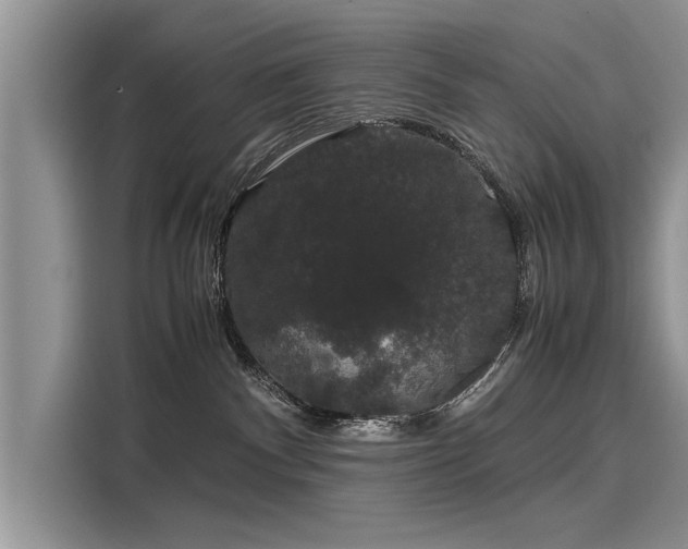 X0000116120140200911301334