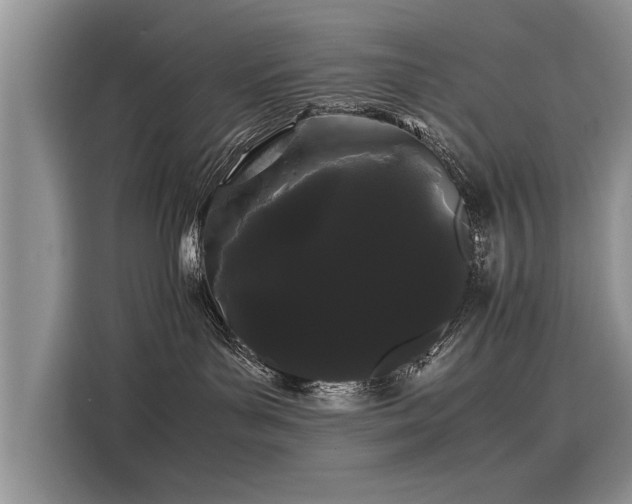 X0000116120143200911301334