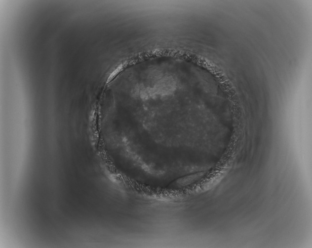 X0000116120144200911301334