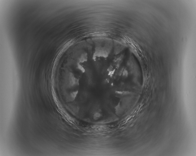 X0000116120145200911301334