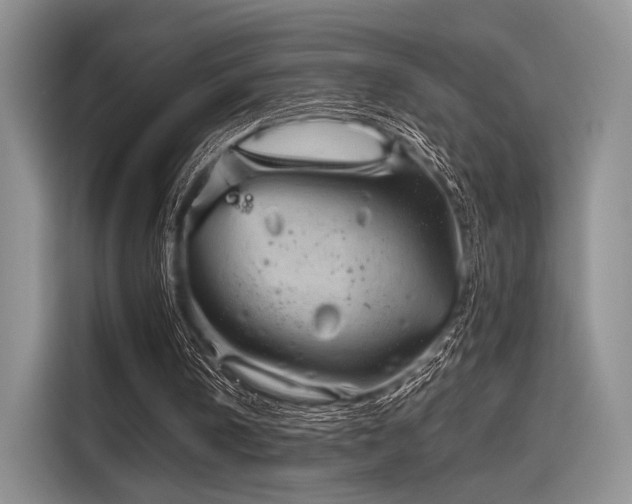 X0000116120146200911301334