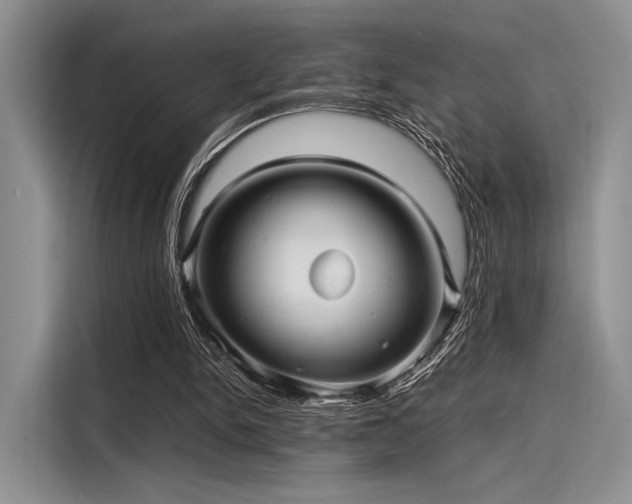 X0000116120150200911301334