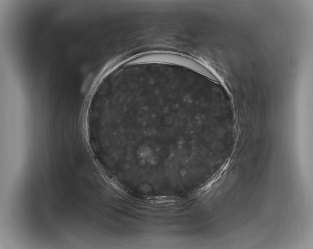 X0000116120151200911301334