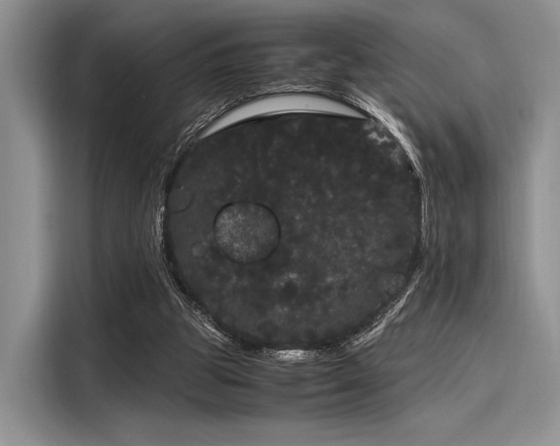 X0000116120153200911301334