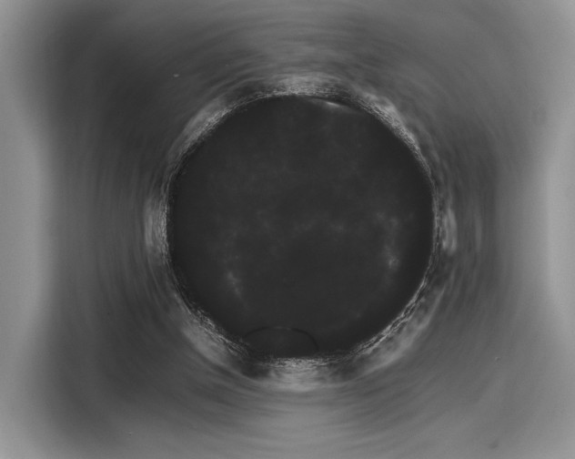 X0000116120154200911301334