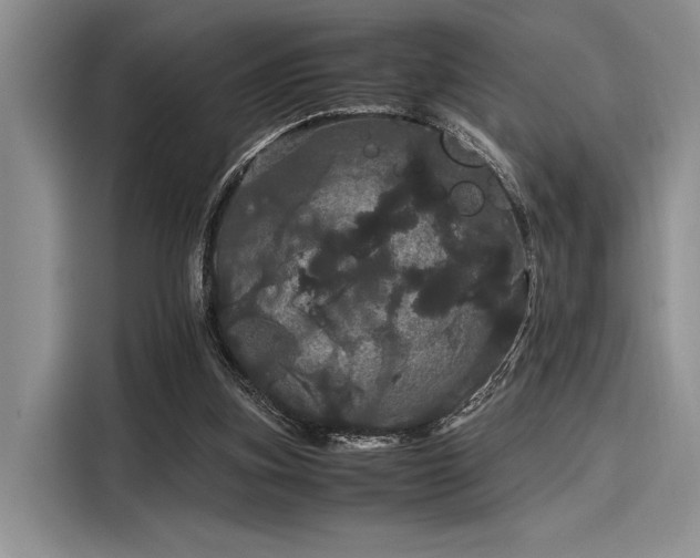 X0000116120155200911301334