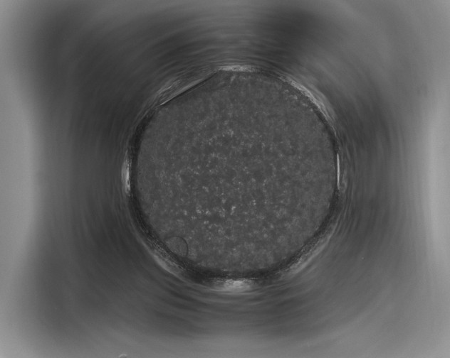 X0000116120157200911301334